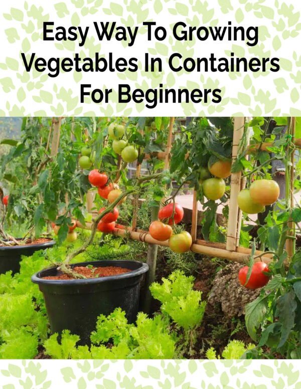 Easy Way To Growing Vegetables In Containers For Beginners