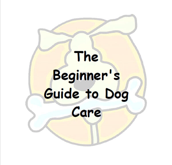 The Beginner's Guide to Dog Care