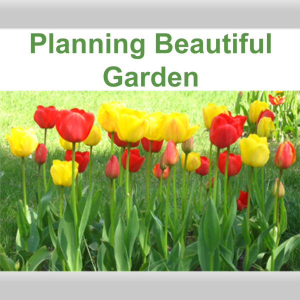 Planning Beautiful Garden