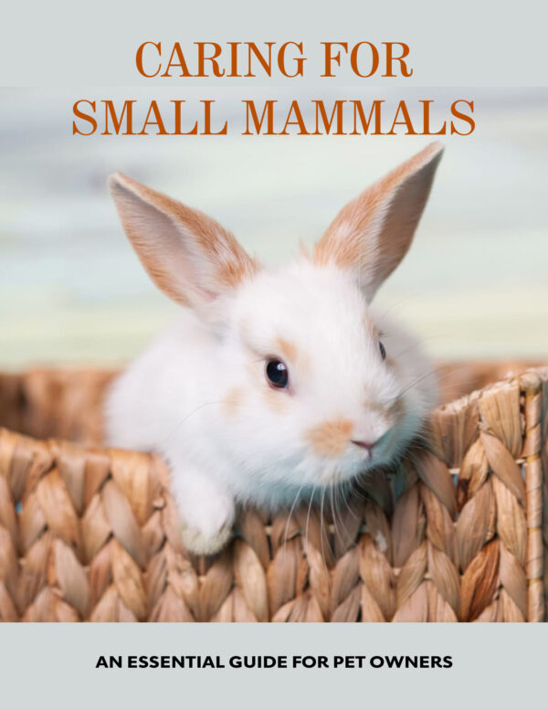 Caring for Small Mammals